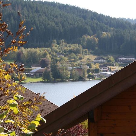 Chalet Vosgien Gerardmer Luaran gambar